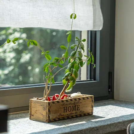 Casa Paje בית נופש *